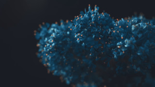 Blue flowers vase table top - blue flower free wallpaper