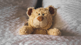 Teddy bear bed white sheets - white sheet and pillows free wallpaper