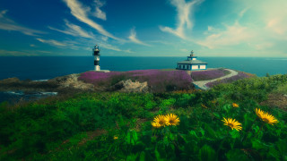 Lighthouse hill flower field clouds - a lighthouse free wallpaper
