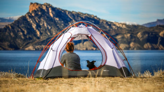 Tent dog mountains lake outdoor - a tent free wallpaper