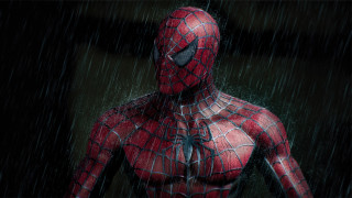 Spiderman rainy matte painting fishnets - a spider free wallpaper