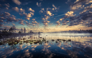 Lake clouds waterplants grass trees - free sky wallpaper