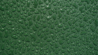 Green wall water drops photorealistic - david brewster free wallpaper