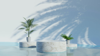 Plant vase table blue background - octane renderer free wallpaper