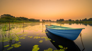Small boat lake lilies sunset - a small boat free wallpaper for desktop