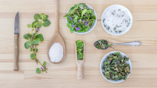 Herbs spoons knife plant flower - spoon free wallpaper