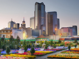 City skyline tall buildings colorful - colorful flower free wallpaper