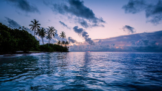 Sunset tropical island palm boat 2 - palm tree and a boat free wallpaper