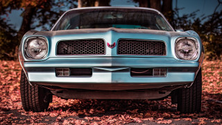 Blue car leaf covered parking - ed roth free wallpaper