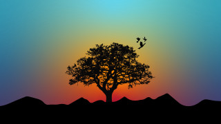 Tree birds sunset mountains minimalist - the background and a bird free wallpaper