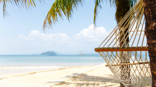 Hammock beach palm tree sailboat - a hammock free wallpaper