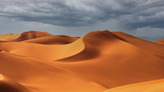 Sand dunes cloudy sky trees - under a cloudy sky free wallpaper
