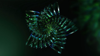 Green black abstract flower generative - c4d free wallpaper for desktop