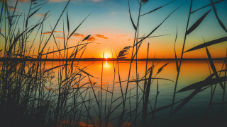 Sunset lake tallgrass orange sky - orange sky in the background free wallpaper