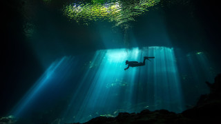 Swimming person light rays water - the ceiling free wallpaper