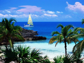 Sailboat ocean palm trees rocky 2 - a sailboat free wallpaper