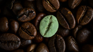 Green cookie coffee beans bug - a bug free wallpaper