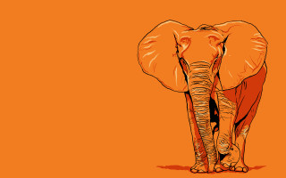 Elephant orange background black spot - an elephant free wallpaper
