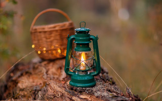 Green lantern tree stump basket - top of a tree free wallpaper