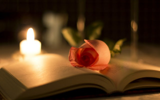 Rose book candle romantic still - a rose free wallpaper