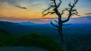Tree hill sunset clouds nature - a hill free wallpaper for desktop