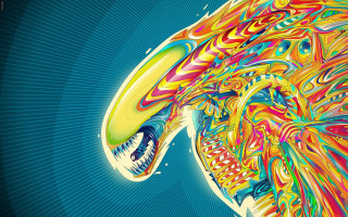 Colorful bird large beak psychedelic - a large beak free wallpaper