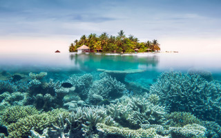 Coral reef island ecological art - a coral reef free wallpaper