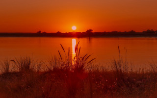 Sunset lake boat grass impasto - a few tall grass free wallpaper