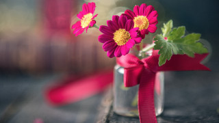 Vase flowers ribbon still life - a pink ribbon free wallpaper for desktop