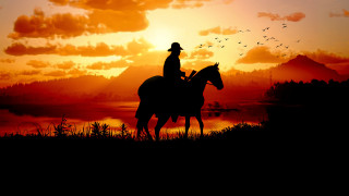 Horse riding sunset birds lake - western free wallpaper