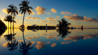 Sunset reflecting lake palm trees - over a lake free wallpaper