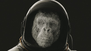 Bearded man hood helmet space - alex petruk ape free wallpaper for desktop