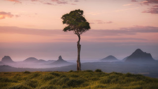 Lone tree grassy hill mountains 6 - a grassy hill free wallpaper