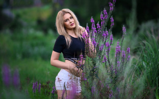 Elina karimova purple flower field - portrait photography free wallpaper