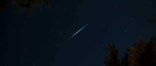 Shooting star night sky trees - shooting free wallpaper