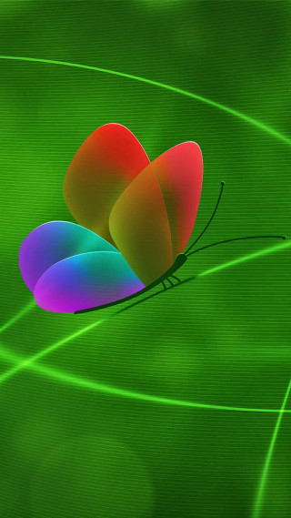 Colorful butterfly green background holography - amano free wallpaper for mobile