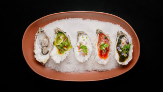 Oysters variety toppings black background - gutai group free wallpaper