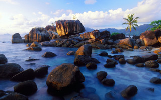 Rocky beach palm shore blue - blue water free wallpaper