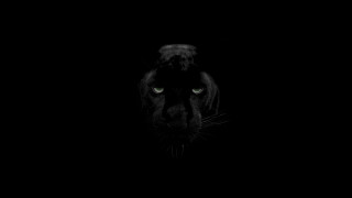 Black panther green eyes dark 2 - visible free wallpaper
