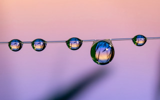 Water droplets wire pink blue - a wire free wallpaper