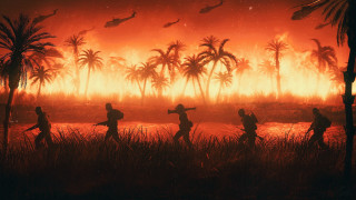People field fire palm trees - cinematic 4k wallpaper free wallpaper