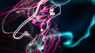 Blurry computer mouse neon lights - neon free wallpaper for desktop