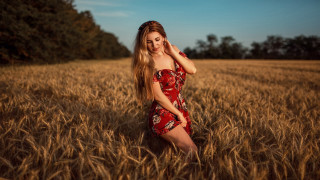 Woman red dress wheat field 4 - a field of wheat free wallpaper