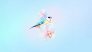Bird flower pink blue digital - a pink flower in the foreground free wallpaper
