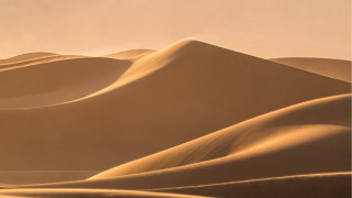Desert sand dunes bird hazy - a desert landscape free wallpaper