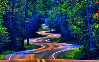 Psychedelic surrealist road trees bushes - the end free wallpaper