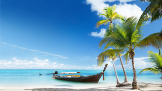 Boat beach palm trees blue - palm tree free wallpaper