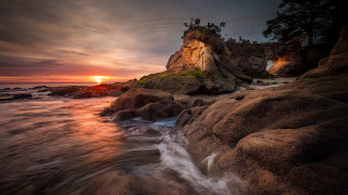 Rocky beach sunset cliff tree - a small tree free wallpaper