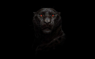 Black leopard red eyes glowing - art greg rutkowski free wallpaper