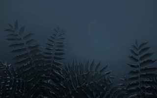Dark blue leaves bamboo forest - a bunch of leaves free wallpaper